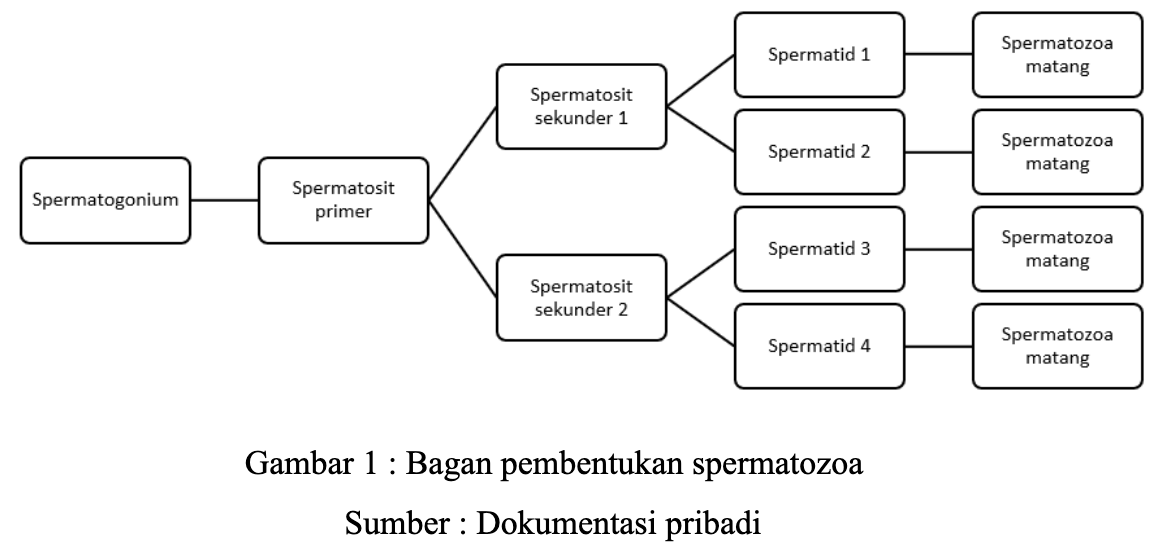 Miss Shanba kechasi Erotik Dachada dada va qizi jinsiy aloqa